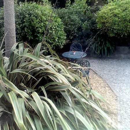Baytree B&B Чарлстаун Экстерьер фото